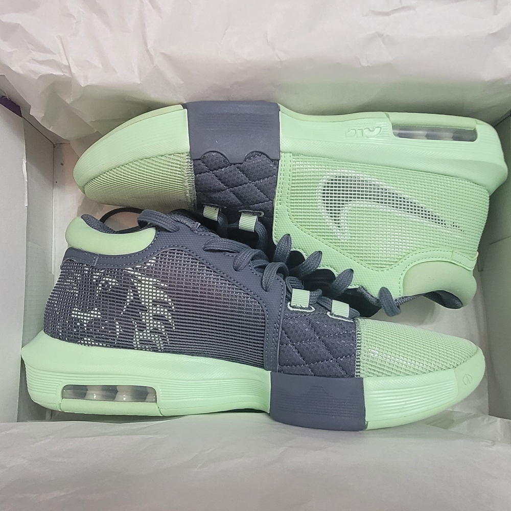 NEW - Nike LeBron Witness VIII / 8 - VAPOR GREEN - HARD TO FIND NEW